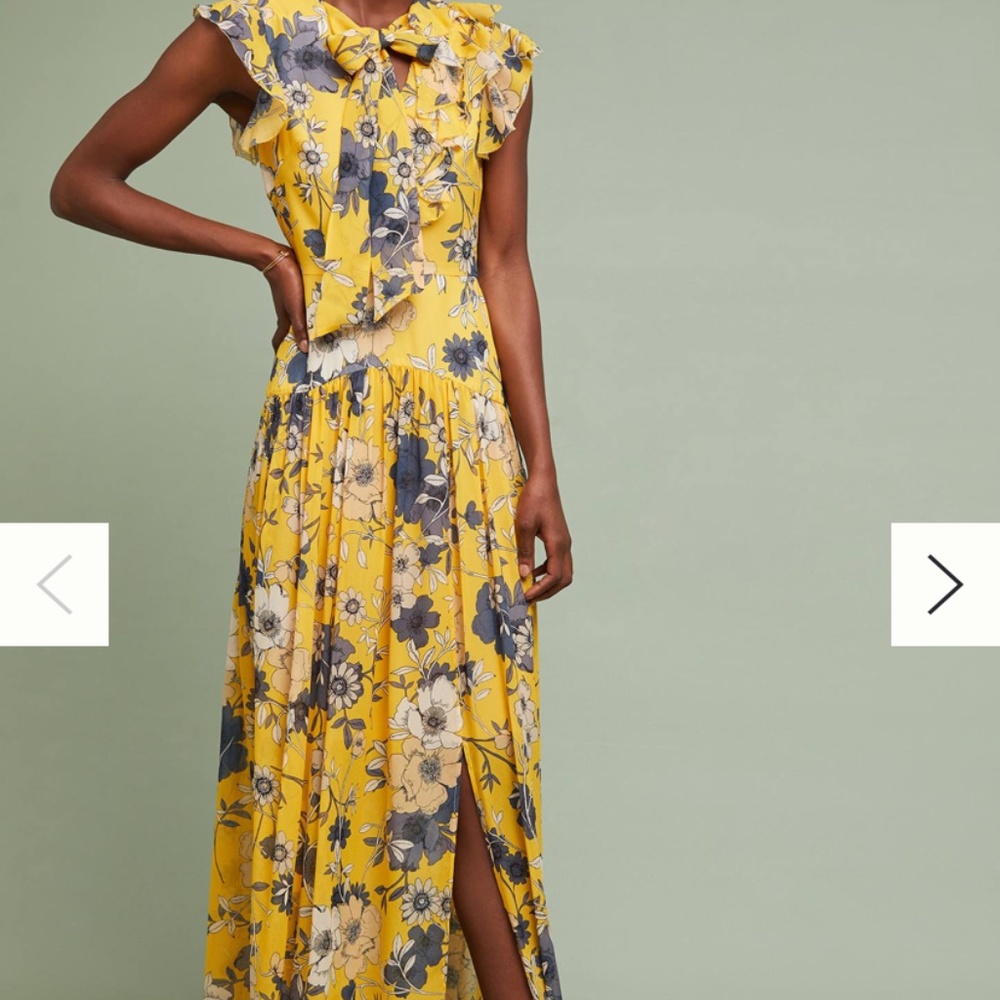 Monique lhuillier fiorina maxi dress .